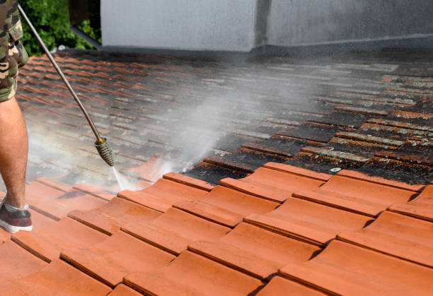 Best Garage Pressure Washing  in Highland Park, IL